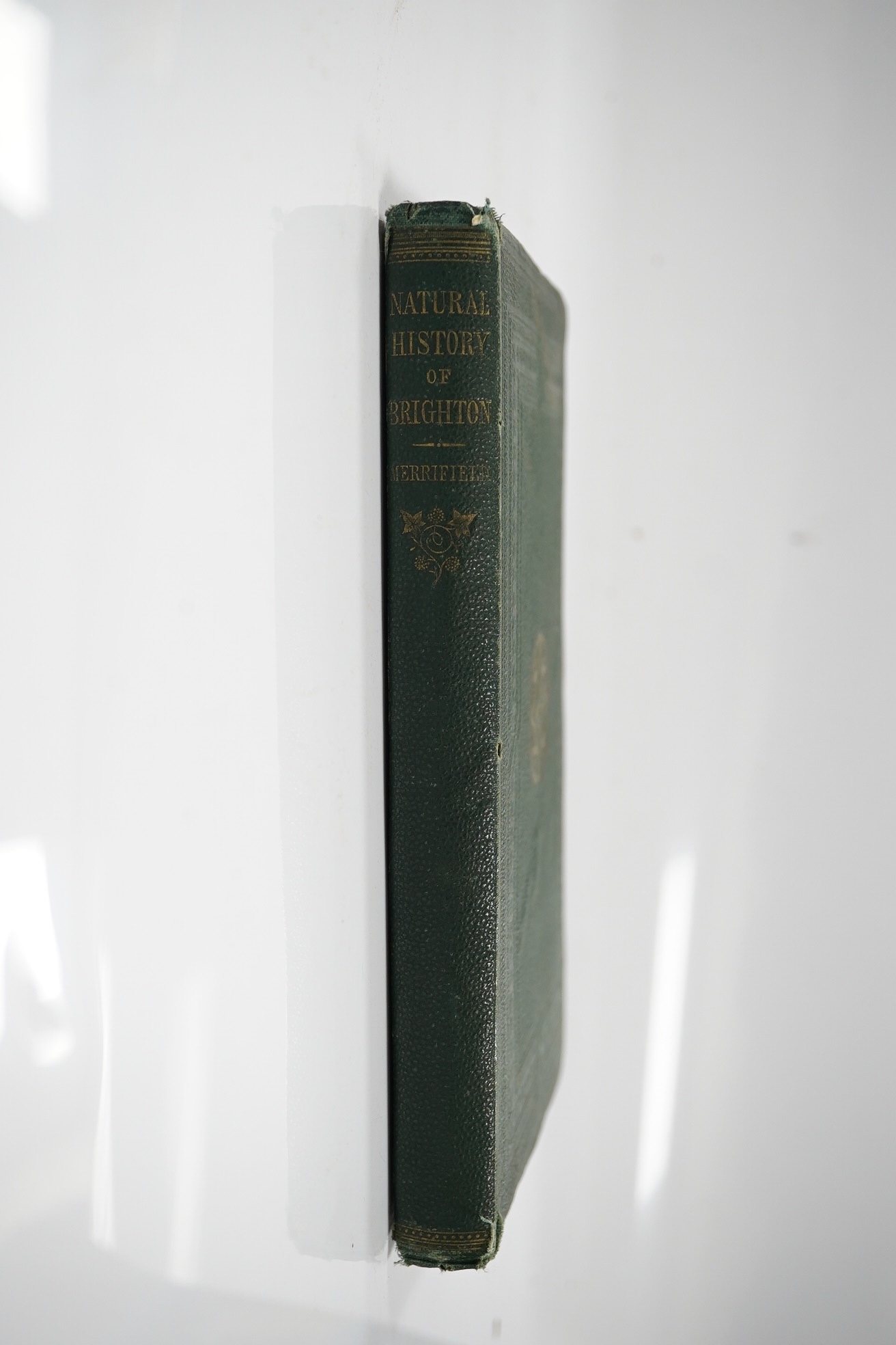 Merrifield, Mrs [Mary Philadelphia] - A Sketch of the Natural History of Brighton and its Vicinity, 8vo, original publishers green cloth gilt, with folding map, a 3cm. horizontal strip cut from top of front fly leaf, tit